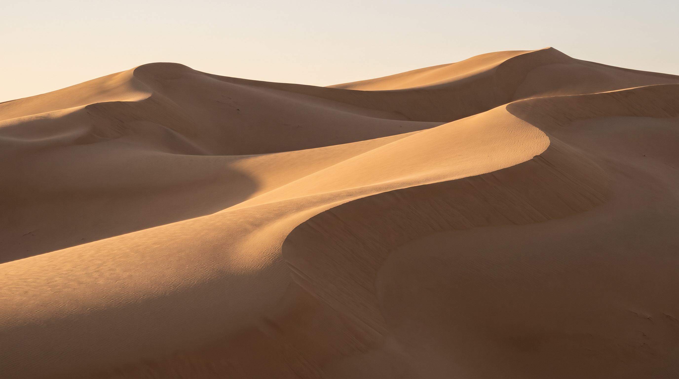 Dunas Terra